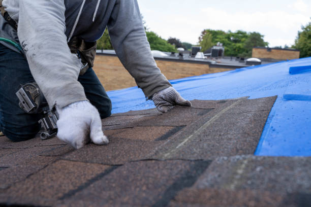 Best Flat Roof Repair Services  in Cornersville, TN