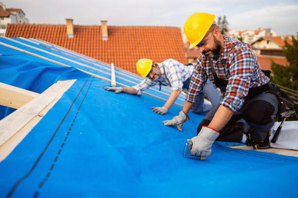 Professional Roofing Contractor in Cornersville, TN