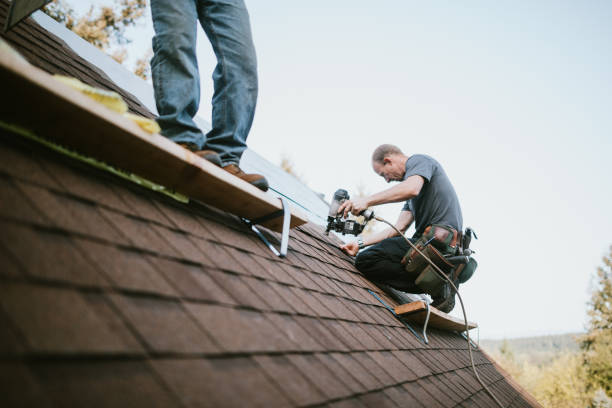 Best Shingle Roofing Installation  in Cornersville, TN